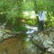 spingplace spring