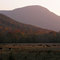 Holly Creek Valley