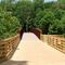 South River Bridge