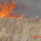 Power of Flight Burn
