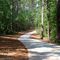 Rockdale River ~ Arabia PATH Trail