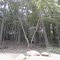 Boulders Near the Trail