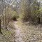 Return to the Wild