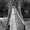  Iowa Falls, IA: Swinging Bridge