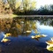 Fall Colors On The Lake