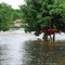 Flood of 2008: Cedar River behind The Library