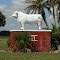 Bull Statue - Entrance to Robert McGee Road Ranch