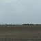 Farn near Dike in IA
