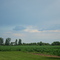 corn field