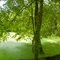Kankakee State Fish and Wildlife Area