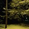 lonely street corner