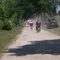 Back of the P12 @ Webster Roubaix