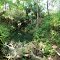 Sumterville Sink, drains region to the east, now forever altered by rock mining (8-13-2011)