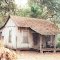 weathered board n' batton Cracker house, rural Sumter County (1-10-2004) scanned 35mm