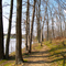Shoal Creek Nature Preserve