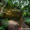 Rock Cave Nature Preserve