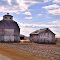 White country barns