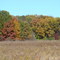 Lake Herrick