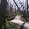 Warrenville Grove Forest Preserve