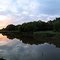 Timber Lake