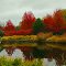 The Silent Pond