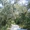 Hathaway Park nature trail