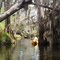 Prarie Creek