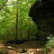 Shawnee National Forest