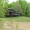 Back Yard in Carbondale, Illinois