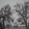 Awesome creepy trees