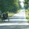 California Amish