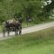 Amish carriage
