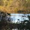 Cartwright Lakes