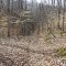 Balk Knob Cross Trail
