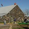 The Great Pumpkin Patch
