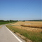 October Harvest in Saline County, Illinois......(1622394350)