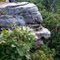 "OL" STONE FACE...Southern Illinois......(1622394350)