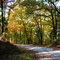Mountain Township In Saline County, Southern Illinois......(1622394350)
