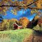 Shawnee National Forest...Southern Illinois......(1622394350)