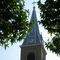 Steeple through the Sweetgums