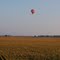 Balloon Over Field