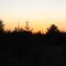 International Falls Sunset