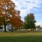 Shipman, IL