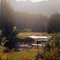 Kodiak Alaska Fishing