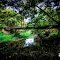Abandoned Cedar Creek Bridge