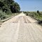 320th Street Wooden Bridge