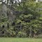 Old House on Doores Road
