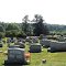 Poplar Log Cemetery Barren County 2