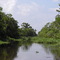 Swamp Tour 2