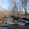 Lick Creek in Cox's Woods